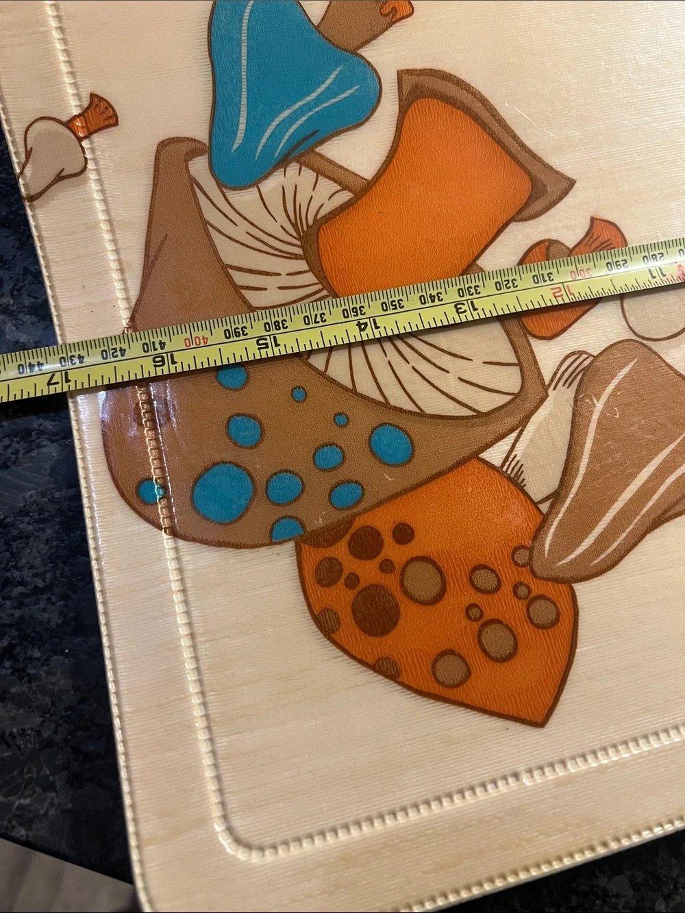 Vintage Mushroom Print Vinyl Placemat Set - Orange, Blue, Tan set of 2. MCM